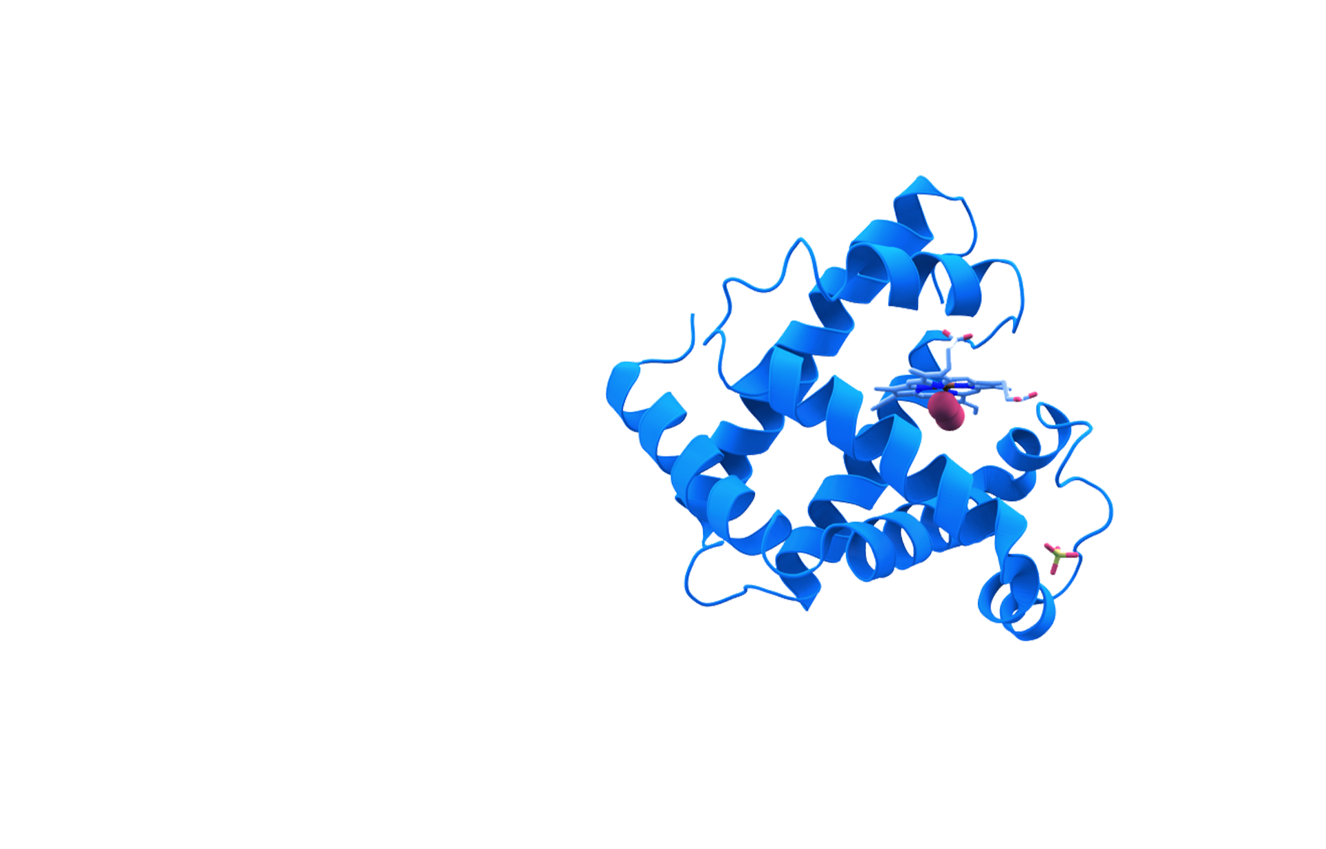 合成生物学新锐企业